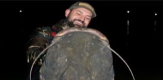 Operațiunea „Monstrul”. Un pește uriaș a fost prins într-un lac din România somn tâncăbești