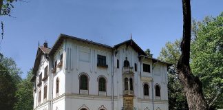 Supermarketuri în Buftea. 12 magazine cu programele și adresele exacte supermarketuri în buftea