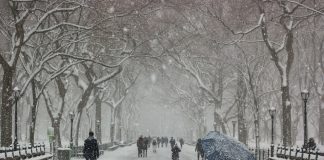 Cod galben de ninsori puternice și viscol. Lista județelor afectate cod galben de ninsori