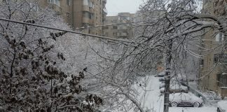 Avertizare de ninsori puternice în București. Două zone sunt sub cod portocaliu de viscol ninsoare viscol