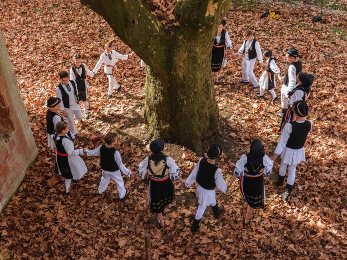 FOTO: Claudiu Druga/treeoftheyear.org