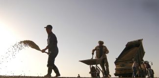 Comisia Europeană a deblocat două miliarde de euro pentru România FOTO: skeeze/Pixabay.com