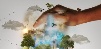 Cum se implică social companiile care activează în România