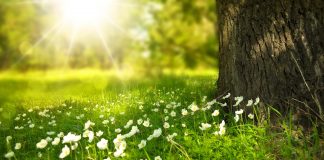 Vremea la început de martie 2019. Unde vine primăvara adevărată, cu 16 grade vremea la început de martie 2019