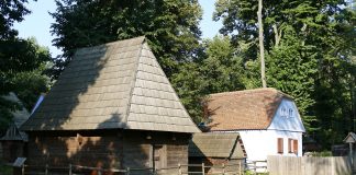 Noaptea Muzeelor 2019. Care sunt marile surprize de anul acesta