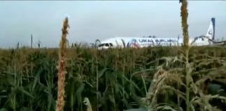 Un avion cu 234 de oameni a lovit un stol de păsări și a aterizat “pe burtă” într-un lan de porumb avion prăbușit în rusia