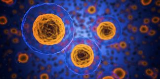 Pacienți bolnavi de o formă gravă de leucemie, vindecați printr-o terapie revoluționară celule