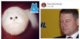 Cele mai bune glume despre dezbaterile lui Iohannis și Dăncilă cele mai bune glume dezbatere iohannis dăncilă