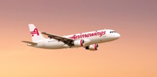Animawings, o nouă companie aeriană ce intră pe piața din România animawings nouă companie aeriană