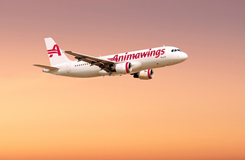 animawings nouă companie aeriană