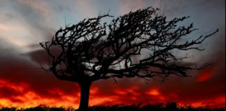 Cod galben de vijelii în 14 județe. Vântul va bate și cu 90 km/h vânt apus