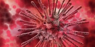 Creștere uriașă a numărului de morți provocate de coronavirus. Ziua cu cele mai multe decese coronavirus virus celulă