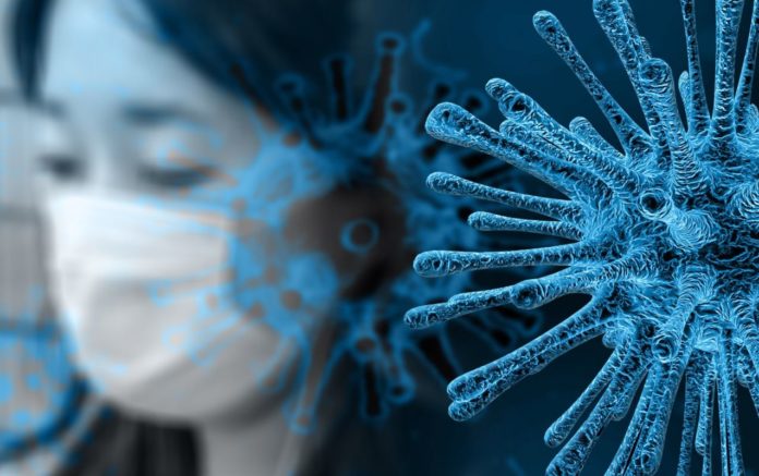 FOTO: Geralt/Pixabay.com