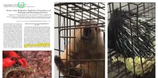 “Consumul de animale exotice în China e o bombă cu ceas”. Cercetătorii au avertizat de acum un deceniu coronavirus consum de animale exotice