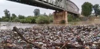 Oltețul, la Balș: Un râu de gunoaie | VIDEO