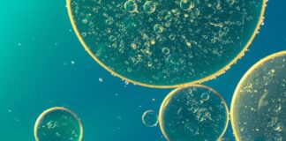 “Sursa secretă de imunitate la COVID-19”. De ce unii oameni aveau o rezistență la virus încă înainte de pandemie celule celulă sânge