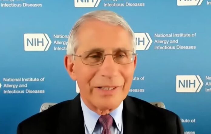 anthony fauci