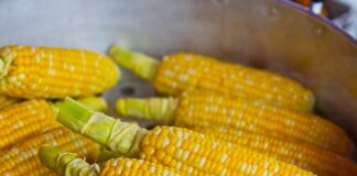 Cât a ajuns să coste un porumb fiert pe litoralul românesc câte calorii are un porumb fiert