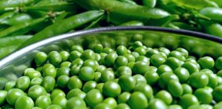 Câte calorii are mazărea verde, fiartă, simplă, la borcan ori conservă câte calorii are mazărea