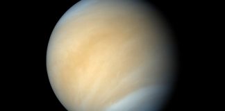 Agenția spațială a Rusiei: ”Venus este o planetă rusească”