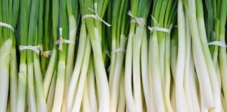 Ceapă verde calorii. Ce aport caloric are o ceapă? Dar 100 de grame? ceapă verde calorii