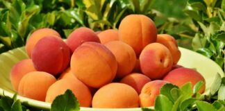 Câte calorii are o piersică. Explicații și pentru compotul și gemul de piersici câte calorii are o piersică