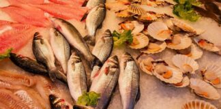 Câte calorii are peștele: 15 specii, de la păstrăv și crap la hamsii calorii pește