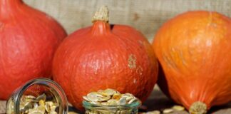 Semințe de dovleac calorii. 8 sortimente: coapte, crude sau doar miez semințe de dovleac calorii