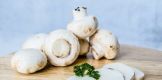 Ciuperci champignon calorii. De ce sunt ideale pentru orice dietă ciuperci champignon calorii