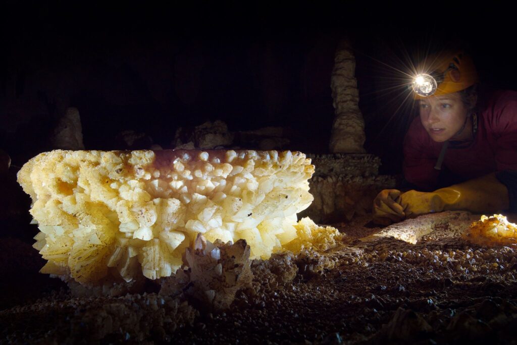 Sursa foto: Marie-José Gilbert & Georg Taffet