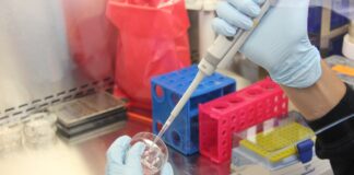 Se caută medicament pentru COVID-19. Încă o companie a început să testeze o pastilă FOTO: mwooten/Pixabay.com