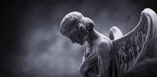 Tânăra care a salvat zeci de români de la sinucidere: „Noi suntem oglinda, sacul de box, peretele din care ricoșează mingea la squash” telverde antisuicid linia antisuicid cluj sibiu