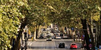 UE pregătește interzicerea mașinilor pe benzină și motorină FOTO: pixel2013/Pixabay.com