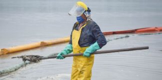 „Mucusul marin” ar putea ajunge și în Marea Neagră FOTO: freddyurbina/Pixabay.com