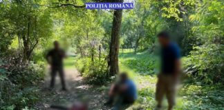 2 braconieri au ucis un urs cu o capcană neautorizată. Unul din ei a sărit cu un cuțit la paznicii care i-au prins urs braconat