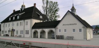 Un bărbat înarmat cu arc și săgeți a ucis 5 persoane. Cel mai grav atac din Norvegia după cel comis de Breivik atac armat norvegia