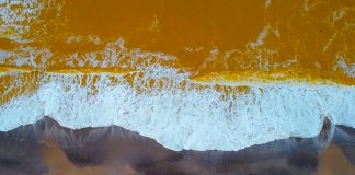 Marea Neagră a devenit galbenă. Care este explicația științifică FOTO: ANYMAKER/Youtube