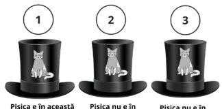 Doar 36% din oameni pot rezolva această problemă de logică. Tu te numeri printre ei? problemă de logică 3 pălării pisica