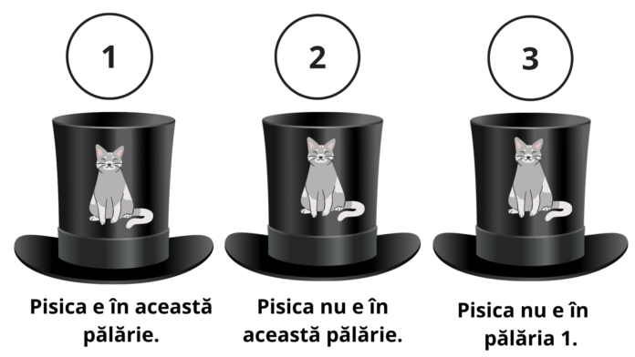 problemă de logică 3 pălării pisica