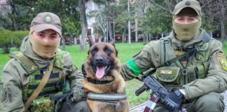 Un câine pe care rușii l-au abandonat îi ajută acum pe ucraineni FOTO: MFA of Ukraine/Twitter