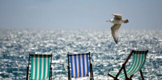 De azi începe „Litoralul pentru toți”. Plătești doar 34 de lei pe noapte la hotel de 3 stele plajă mare țărm pescăruș