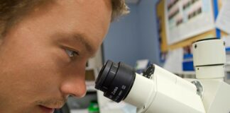 Noi cazuri de hepatită „misterioasă” și variola maimuței în Europa FOTO: PublicDomainPictures/Pixabay.com