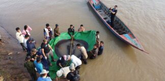 A fost descoperit cel mai mare pește de apă dulce din istorie. Greutatea sa i-a uimit pe cercetători cel mai mare pește din istorie