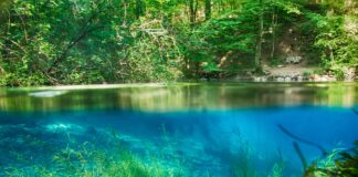 Lacul de opal, minunăția turcoaz din România ce izvorăște din adâncuri lacul ochiul beiului