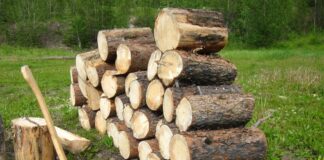 Director acuzat că a încercat să fure lemnul de foc al școlii. „N-aș fi crezut pe nimeni în stare să fure lemnele copiilor” lemne