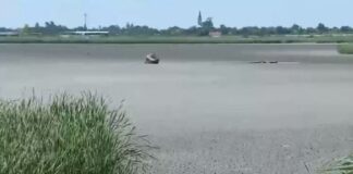 Încă un lac din România a secat. Este al doilea în doar câteva săptămâni lac secat