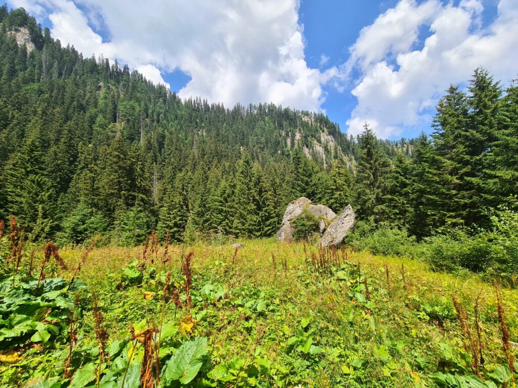 traseu montan râșnov mălăiești bucegi