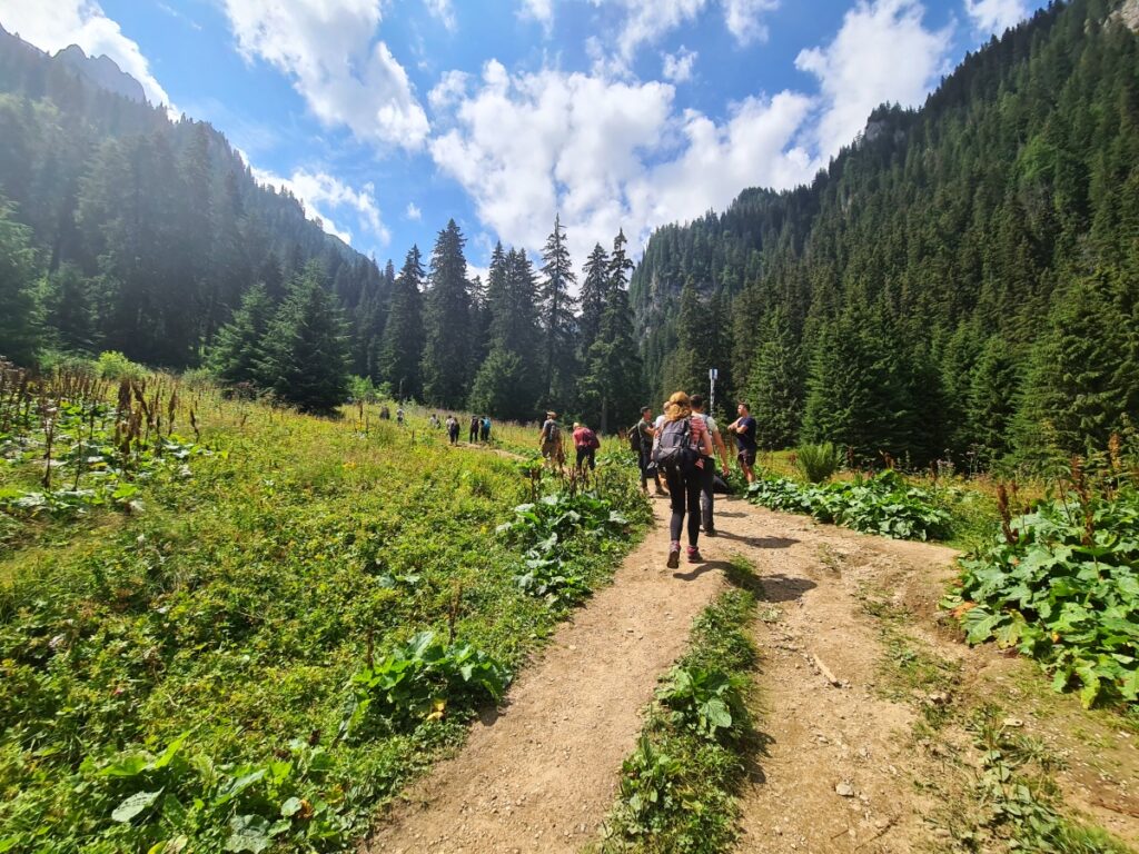 traseu montan râșnov mălăiești bucegi