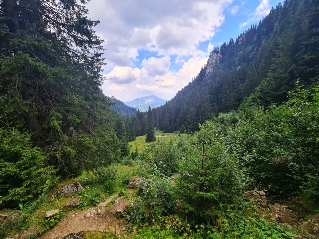 traseu montan râșnov mălăiești bucegi