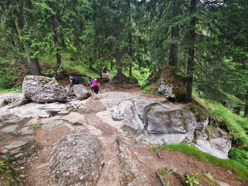 traseu montan râșnov mălăiești bucegi